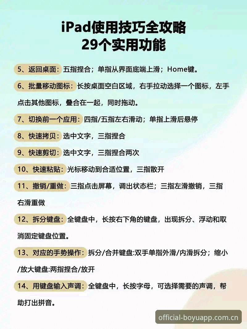 博鱼电脑版实战指南：从下载到高效使用的全流程详解