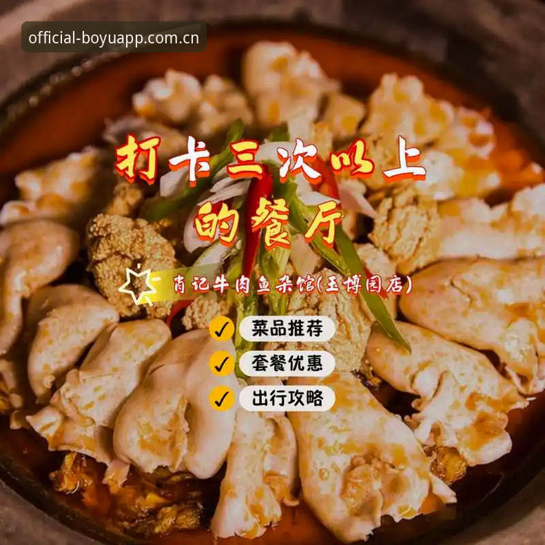 博鱼高品质安卓版使用指南：新手从下载到畅玩的完整攻略